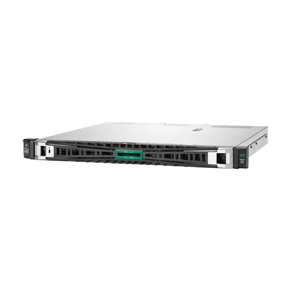 HPE SERVER PROLIANT DL20 G11 (P78087-425)
